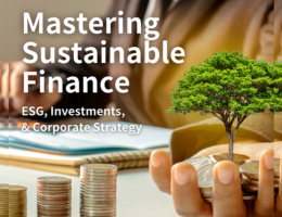 永續金融：環境外部效應 Mastering Sustainable Finance: ESG, Investments, & Corporate Strategy