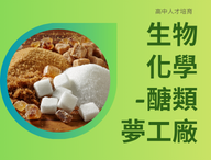 生物與化學-醣類夢工廠（2026化學人才培育夏季班）