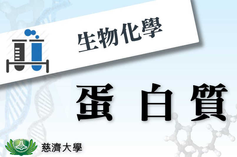 生物化學-蛋白質小劇場（115自學課程）