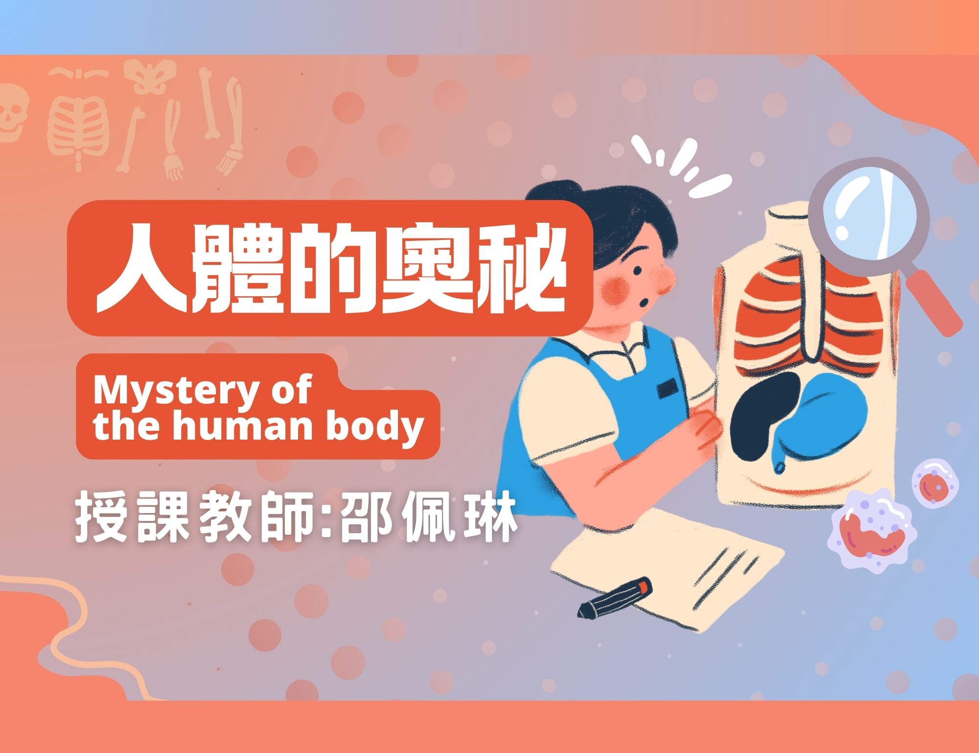 人體的奧秘 （2026夏季班）